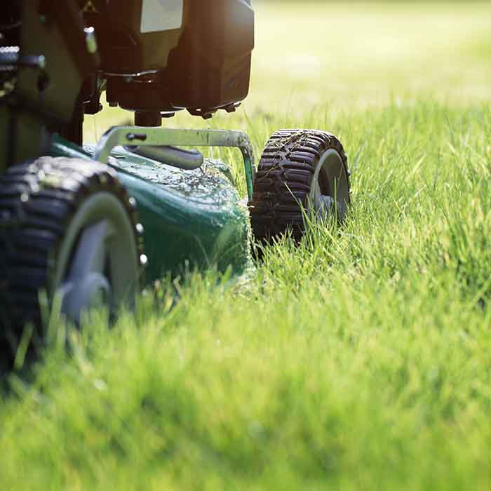 Feature - Commercial Lawn Care