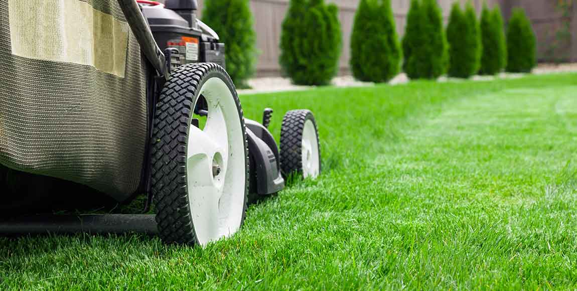 Special - Complete Lawn Care